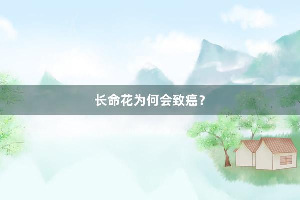 长命花为何会致癌?